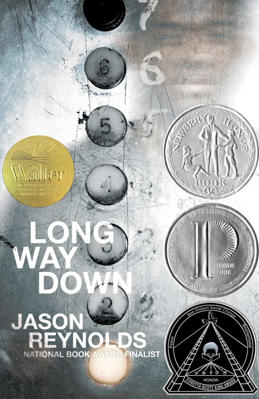 Long Way Down Book Cover